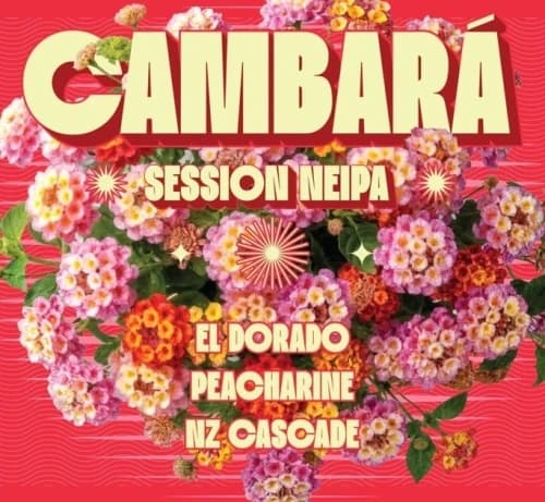 Cambará