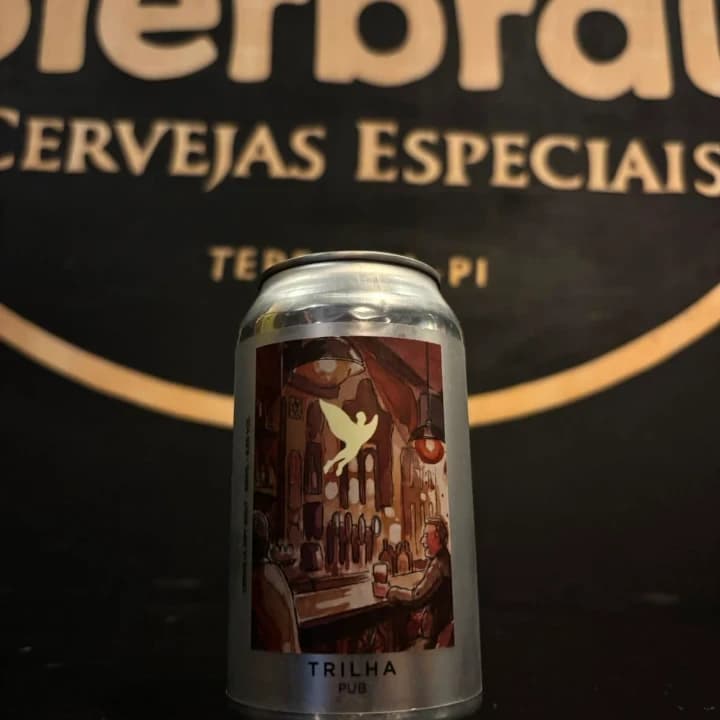 PUB (TRILHA CERVEJARIA) LT 350ML